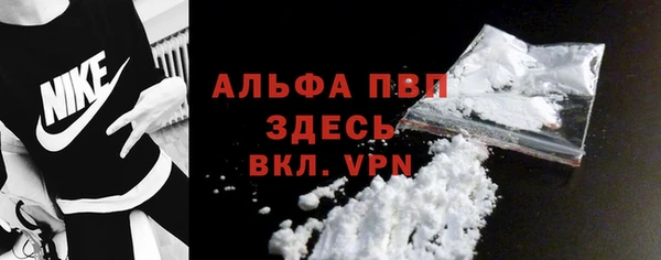 PSILOCYBIN Белокуриха
