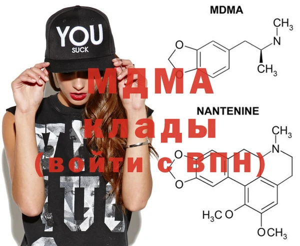 PSILOCYBIN Белокуриха