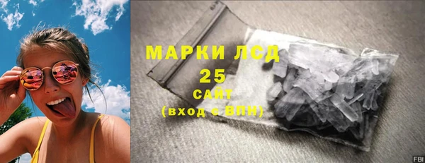 PSILOCYBIN Белокуриха